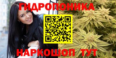тгк Новозыбков
