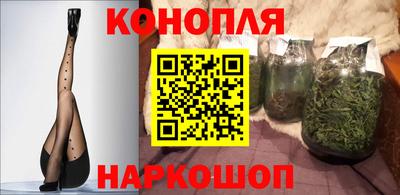 тгк Новозыбков