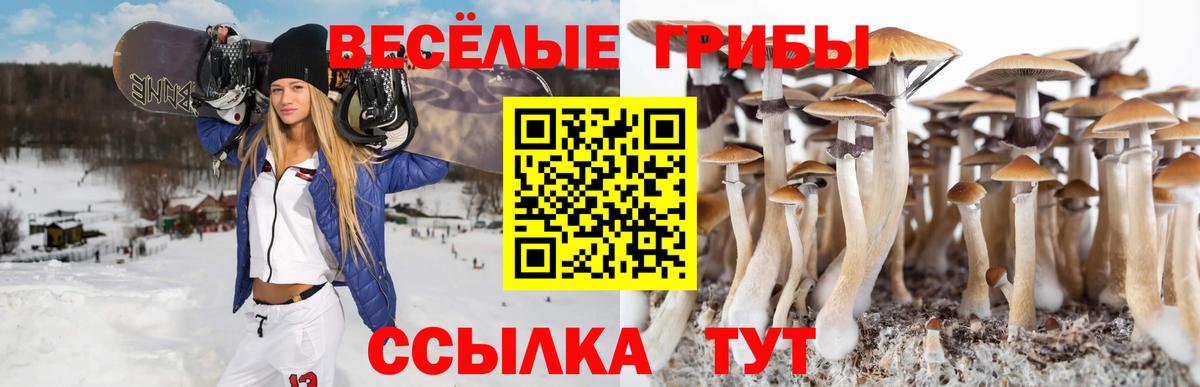 Галлюциногенные грибы Magic Shrooms  Вход с VPN  Химки  Псилоцибиновые грибы Magic Shrooms 